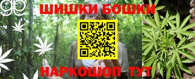стаф Бузулук