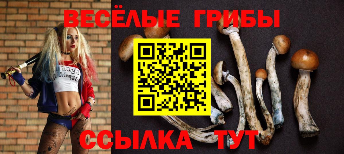 Галлюциногенные грибы MAGIC MUSHROOMS  Галлюциногенные грибы мухоморы  Кохма  Вход с VPN 